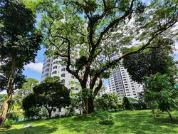 Central Green Condominium (D3), Condominium #579789901